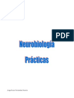 Neurobiologia