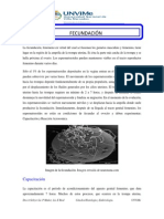 FECUNDACIÓN Teoria PDF