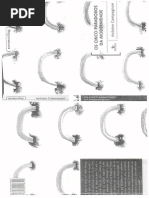 Os Cinco Paradoxos Da Modernidade