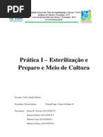 Relatório Esterelização e Preparo de Meio de Cultura