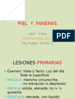 Piel y Faneras - 2013