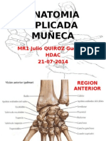 Anatomia Aplicada Muñeca