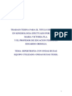 Tesina V. Pla - Onda Rusas PDF