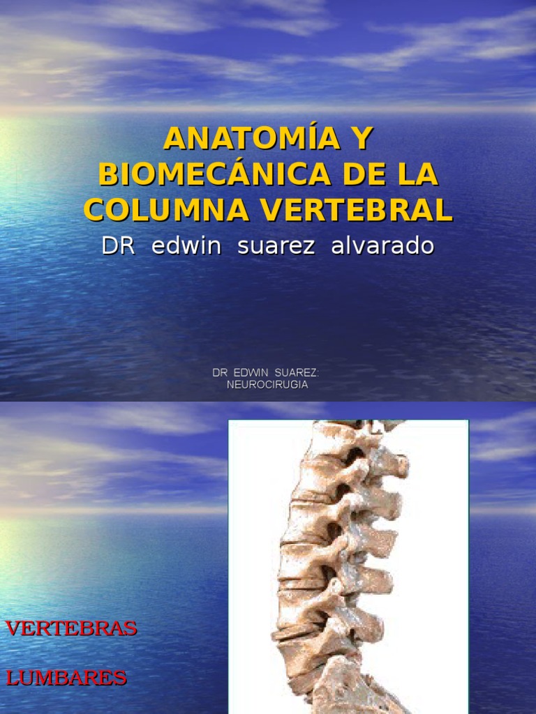 Anatomía y Biomecánica de la Columna | PDF | Vértebra | Sistema ...