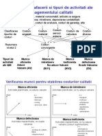 Managementul Procesului