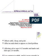 Polioencephalomalacia in Goats