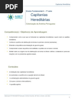 Capitanias Hereditarias
