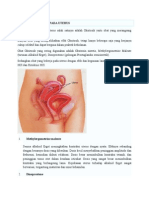 Obat Yang Bekerja Pada Uterus