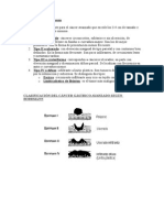 Clasificacion de Borrmann