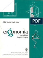 Ergonomia y Lumbalgias Ocupacionales