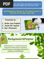 Download manfaat daun jambu mete by grahaayu SN261642589 doc pdf