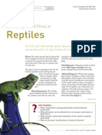 Blood Film en Reptiles