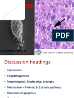 Apoptosis: Muhammad Shoaib