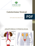 Aula 04 - Cateterismo Vesical PDF