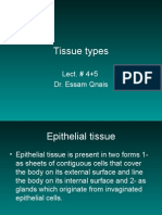 4+5 Tissue Types and Epithelial Tissue