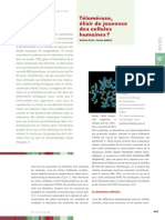 Ms Cancer Rufer03 PDF