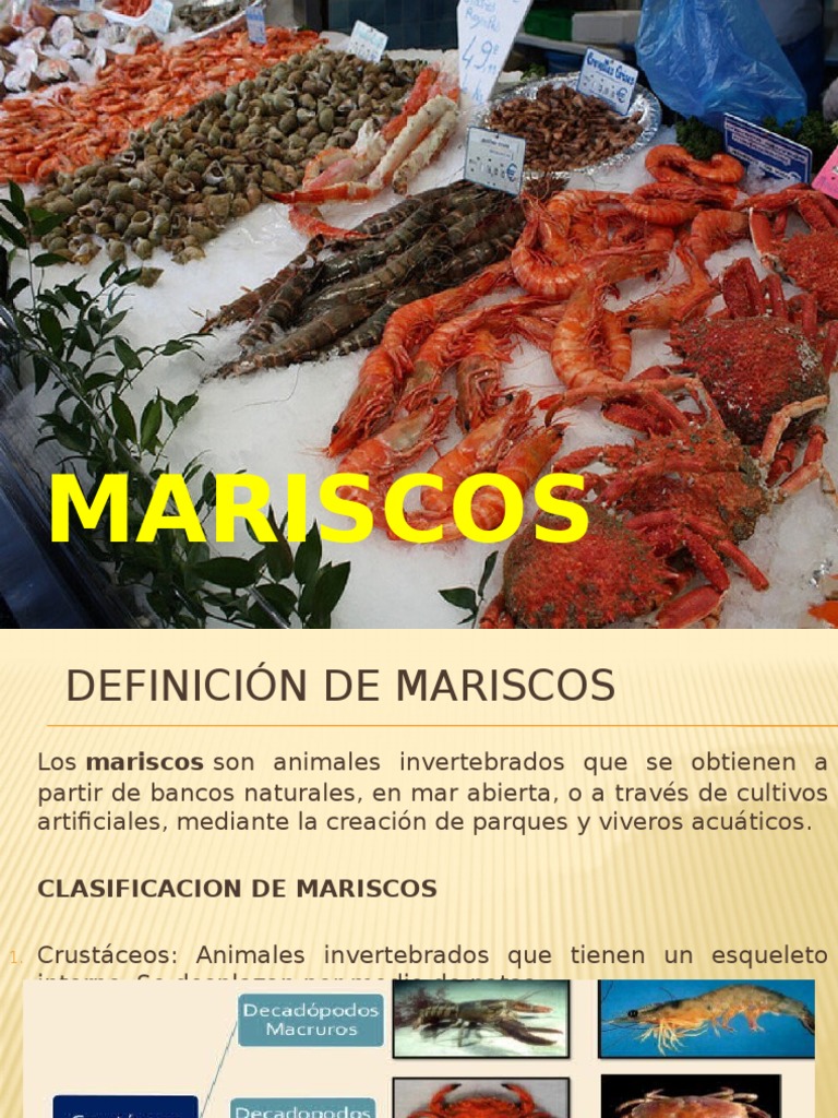 Mariscos y Sus Derivados | PDF | Mariscos | Pescado como alimento