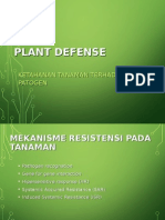 10.Plant Defence.ppt