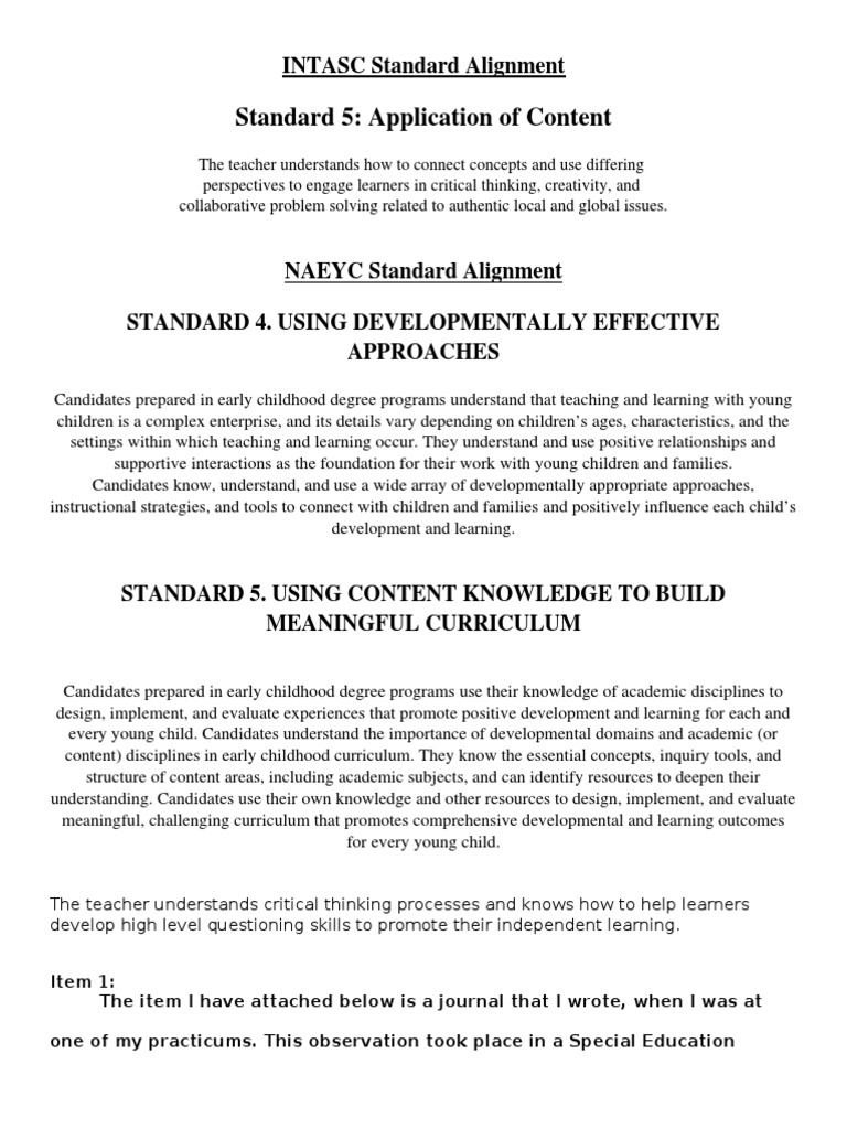 Standard 5 With Artifacts | PDF | Early Childhood Education | Critical ...