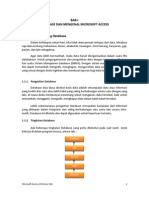 MsAccessModul PDF