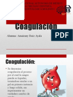 Coagulacion