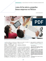 El Panorama de Las Micro, Pequenas y Medianes Empresas en Mexico