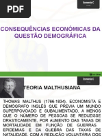 A Questão Demográfica Conseq