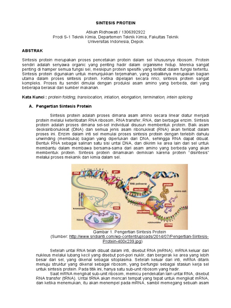 Proses Sintesis Protein dalam Sel | PDF