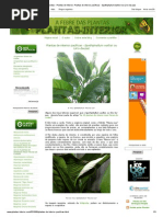 A Febre Das Plantas - Plantas de Interior_ Plantas de Interior Pacíficas - Spathiphyllum Wallisii Ou Lírio-da-paz