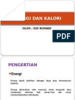 Energi Dan Kalori