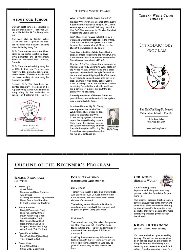 Beginner Program PDF East Asian Martial Arts Chinese Martial Arts