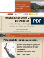 MANEJO DE BOSQUES Y CAPTURA DE CARBONO