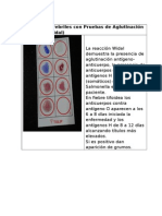 Reacciones Febriles Con Pruebas de Aglutinación