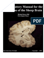 S07-08-Lab Manual Sheep Brain
