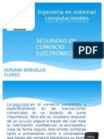 Seguridad en Comercio Electronico