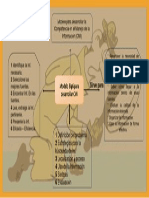 El Modelo Big6 Sesión 3y4 de 8 FerGalicia