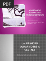 Um Primeiro Olhar Sobre a Gestalt