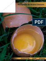 Manual Recepcion Huevos Cascara3