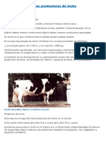 Vacas Productoras de Leche