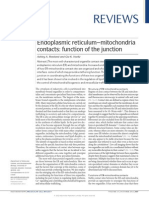 Endoplasmic Reticulum–Mitochondria Contacts. Function of the Junction