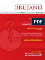 2014-08-REVISTA-CIRUJANO.pdf