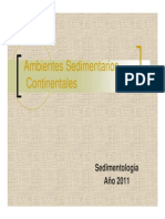 Ambientes Continentales-Sedimentologia 2011
