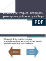 Lesiones de Tráquea, Bronquios, Parénquima Pulmonar