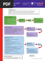 Download Pals Cases by Pato San Martn SN261790308 doc pdf