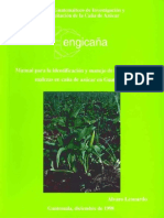 9ManualDeMalezas PDF