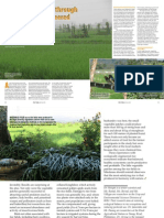 Rice Today vol. 14, no. 2 Striking a balance through ecologically engineered rice ecosystems