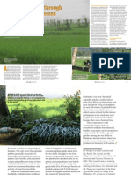 Rice Today Vol. 14, No. 2 Striking A Balance Through Ecologically Engineered Rice Ecosystems