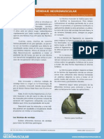 UV Fisioterapia Al Dia Vendaje Neuromuscular