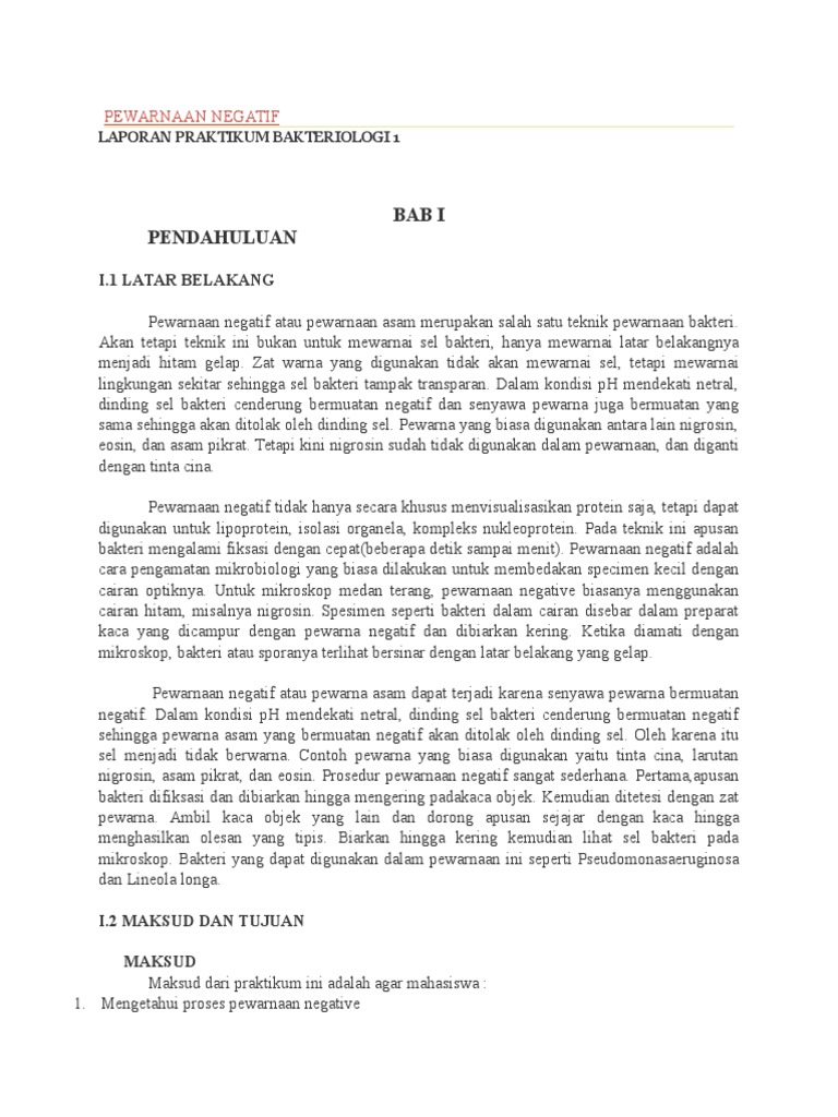 Pewarnaan Negatif