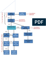 .Schema Grade de Rudenie